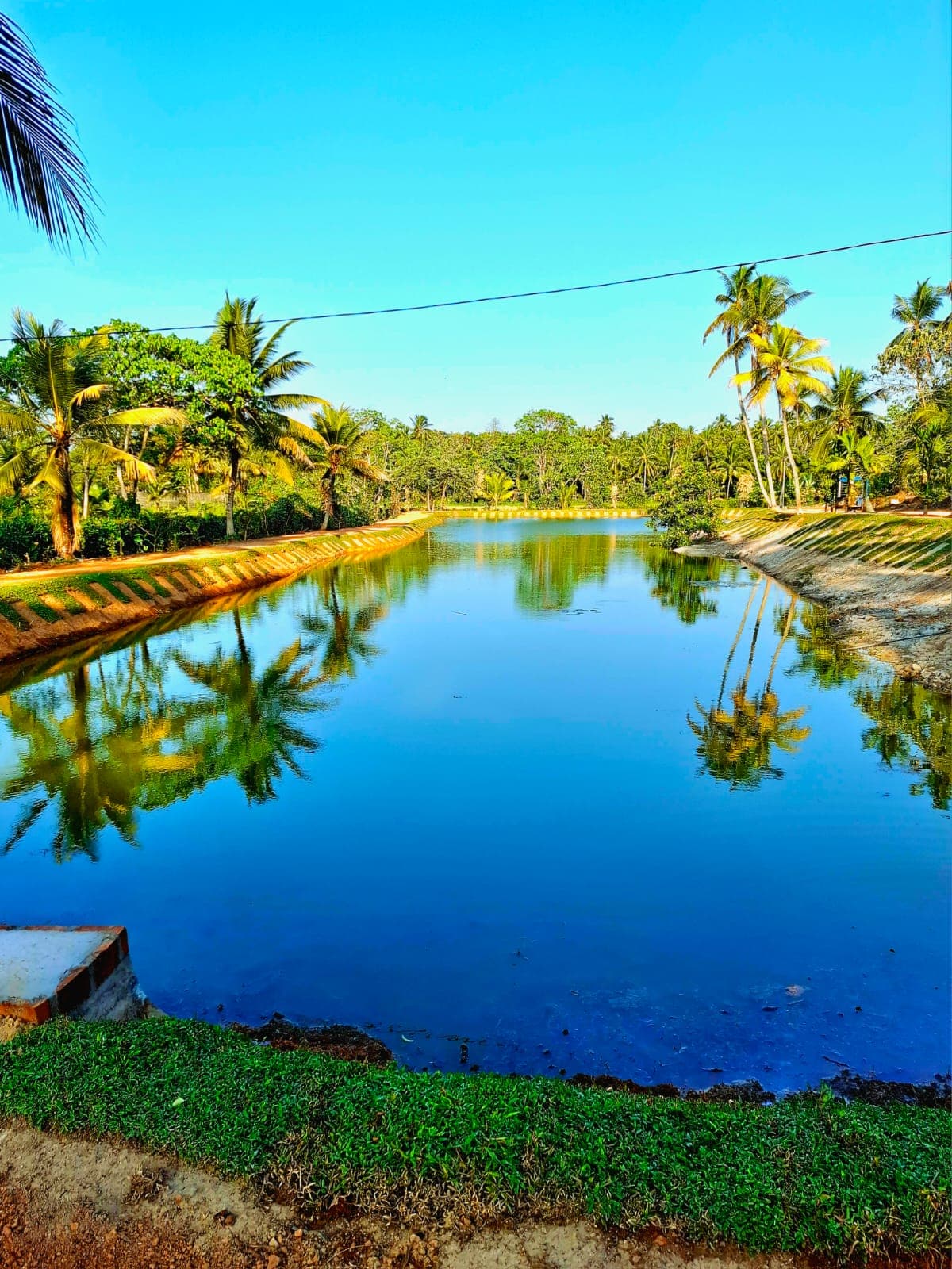 Visala Nature Resort 4